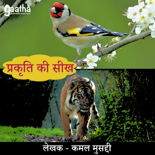 Prakriti ki seekh (प्रकृति की सीख)