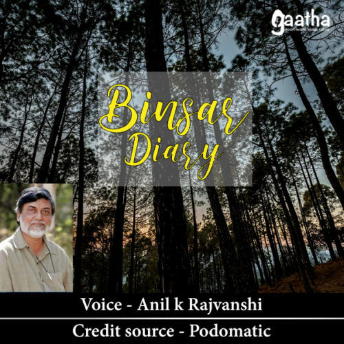 Binsar Diary