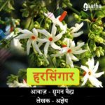 Harsingaar(हरसिंगार)