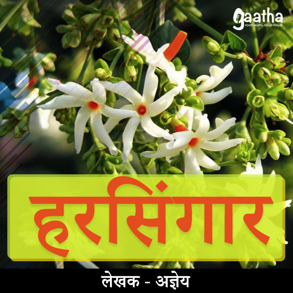 Harsingaar(हरसिंगार)