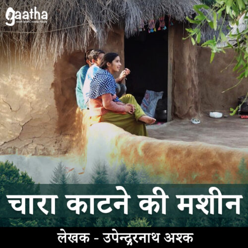 Chara katne ki machine (चारा काटने की मशीन)