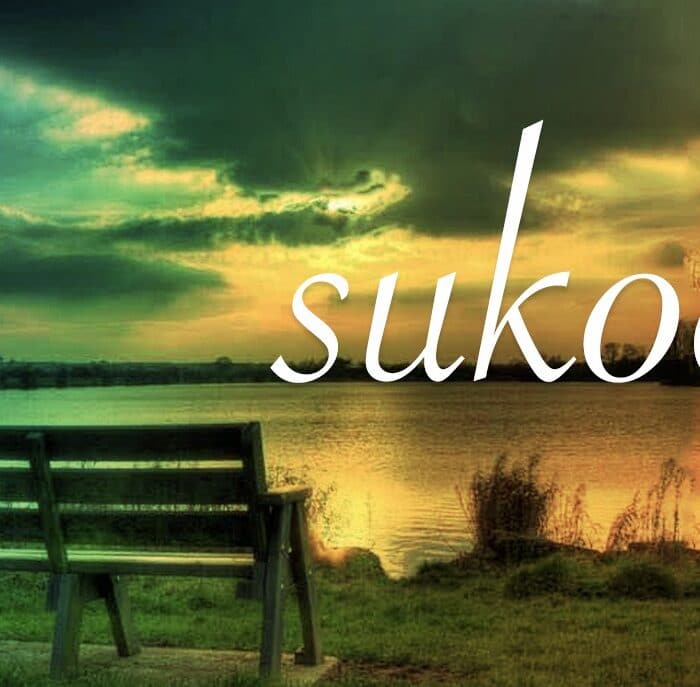 Sukoon (सुकून)