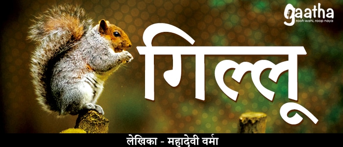 Gillu (गिल्लू)