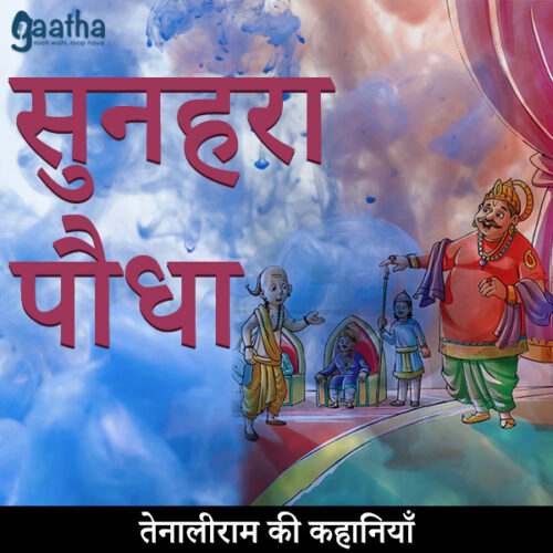 Sunehra podha (सुनहरा पौधा)