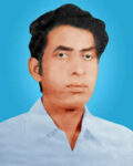 निर्दोष हिसारी