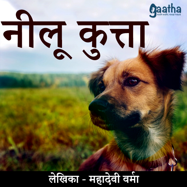 Neelu Kutta (नीलू कुत्ता)