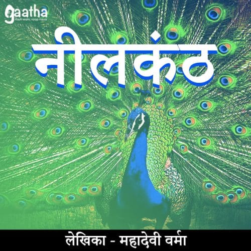 NeelKanth (नीलकंठ)