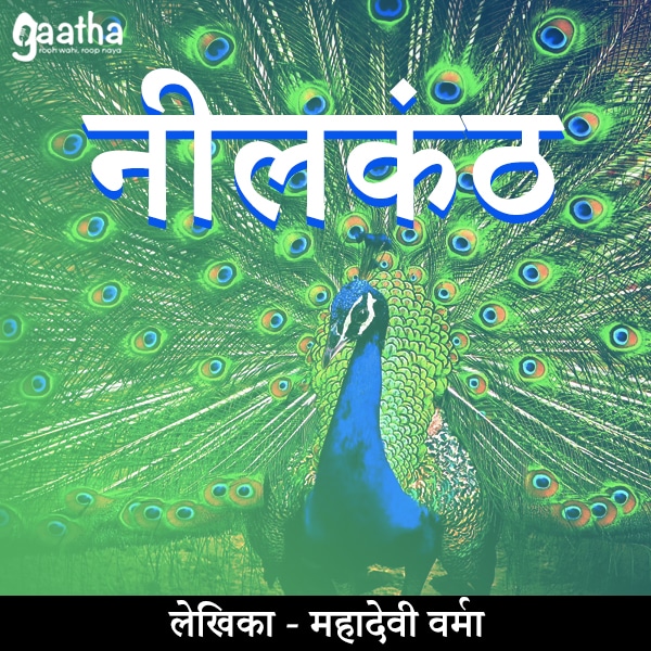 NeelKanth (नीलकंठ)