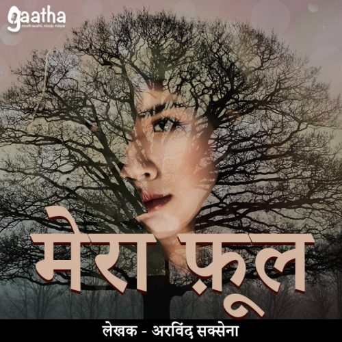 Mera phool (मेरा फूल)