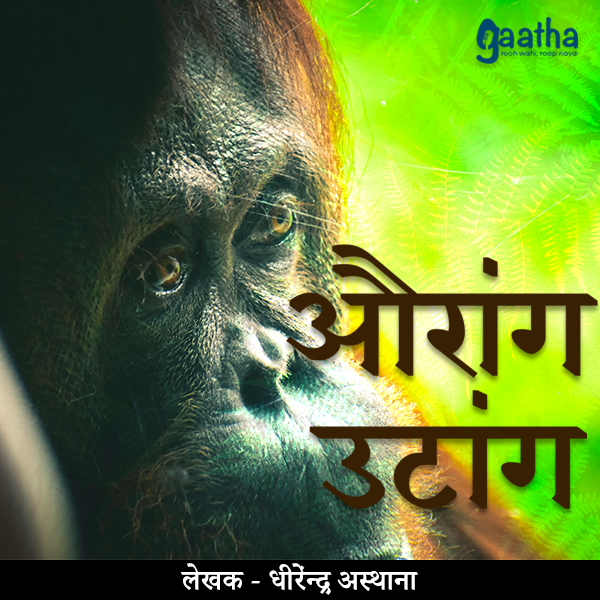 Orangutan (औरांग उटांग)